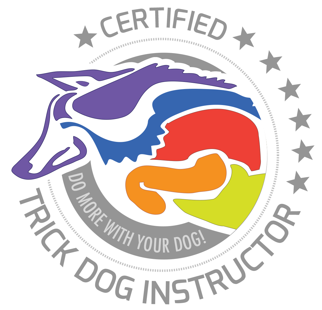 Logo for Certified Trick Dog Instructor: A dog jumping through a hoop in bold, vibrant colors, with the text "Do More with Your Dog - Certified Trick Dog Instructor."