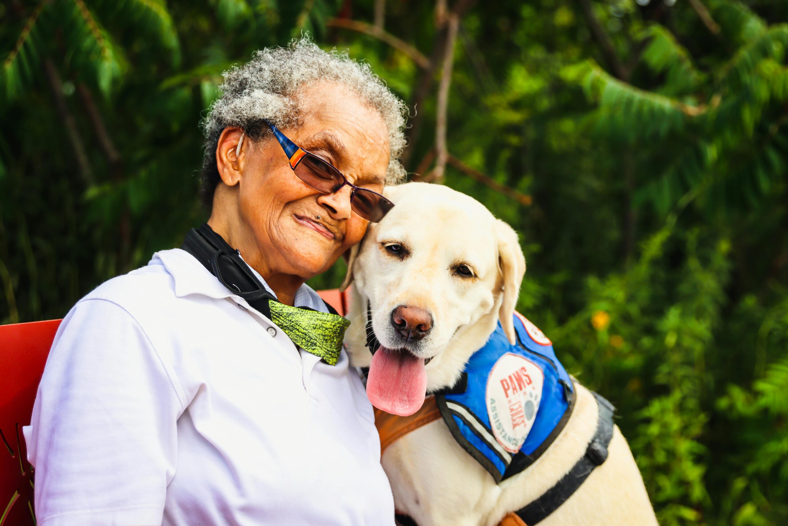 service dog training