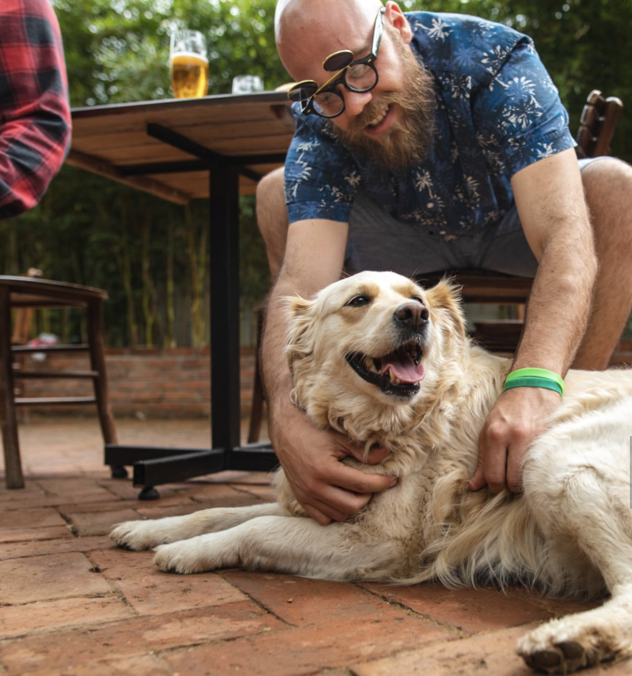 Man petting golden retriever laying calmly at his feet on a patio